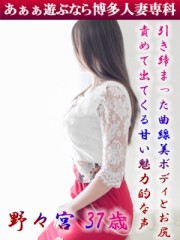 野々宮 春菜